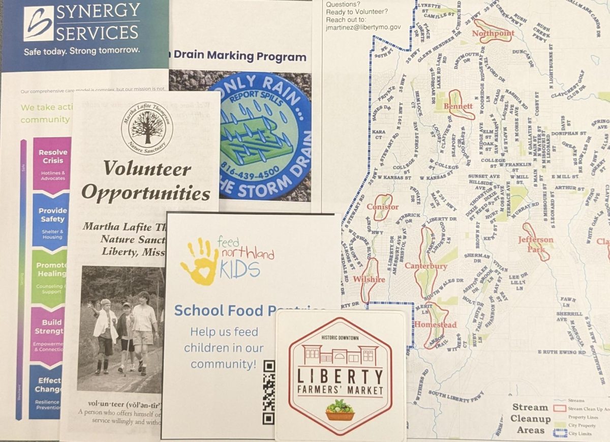 A variety of brochures and handouts from local organizations at the volunteer fair